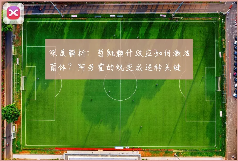 深度解析：哲凯赖什效应如何激活葡体？阿劳霍的蜕变成逆转关键